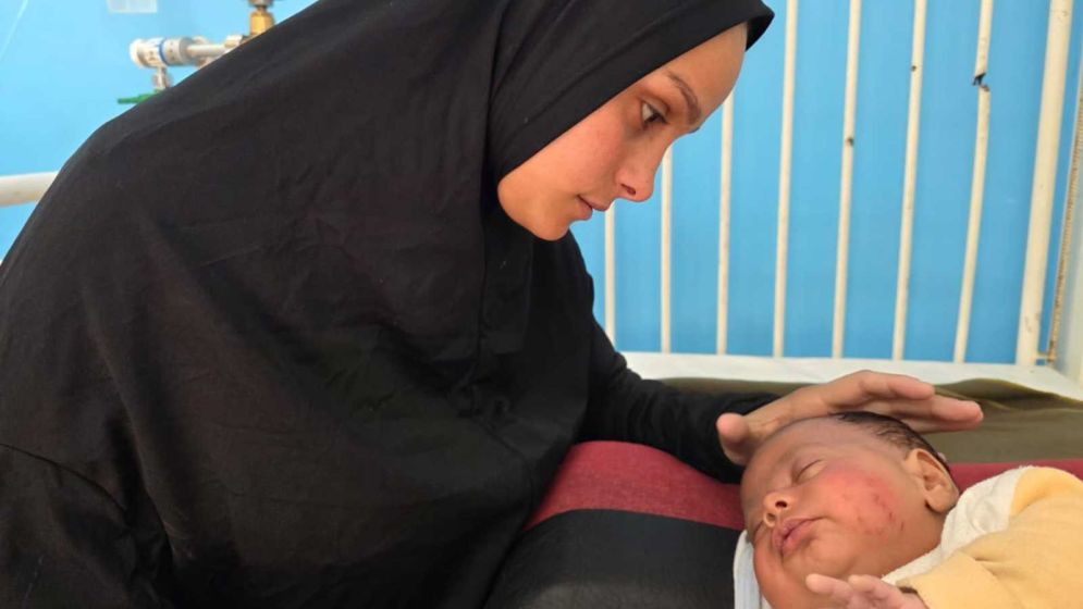 'If we sleep, they bite': Rats and weasels infest camps for displaced Gazans