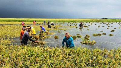 Farmer dies after seeing croplands submerged
