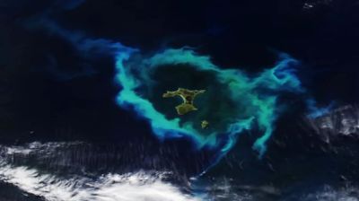 Giant ring of glowing plankton outlines deadly underwater structure