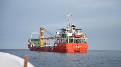 Trump pauses effort to escort ships in Strait of Hormuz, citing deal progress