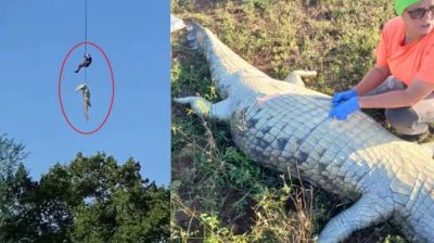Hero cop retrieves killer crocodile as investigators uncover human remains