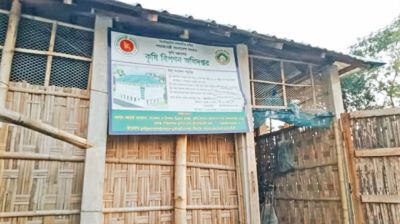 Potato preservation project turns ineffective in Joypurhat