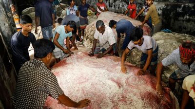Govt fixes rawhide prices ahead of Eid-ul-Azha