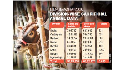 Farmers, traders ready to hit cattle markets across the country for Eid-ul-Azha