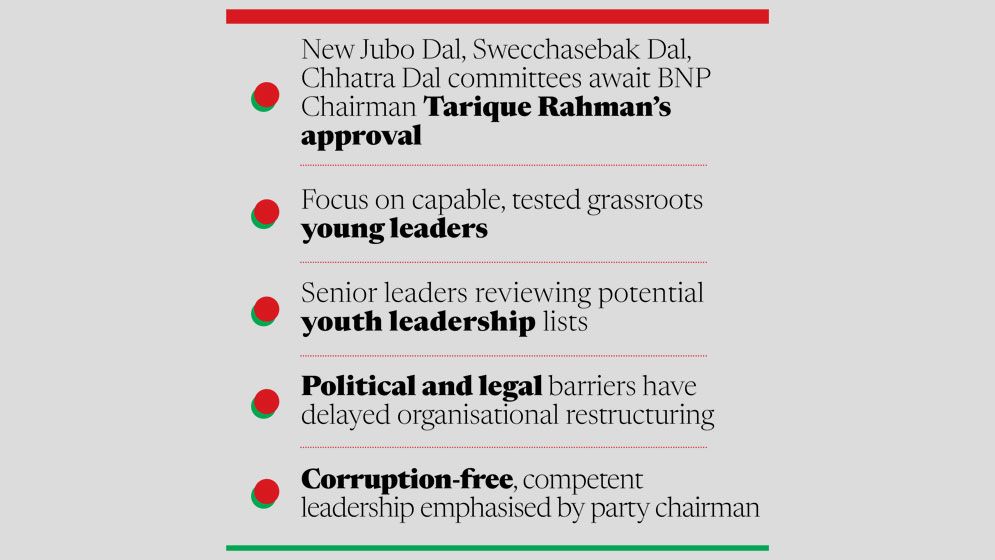 BNP eyes key wing revamp before council, local polls