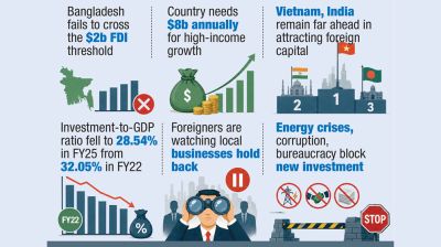 Local investment slump deters foreign capital