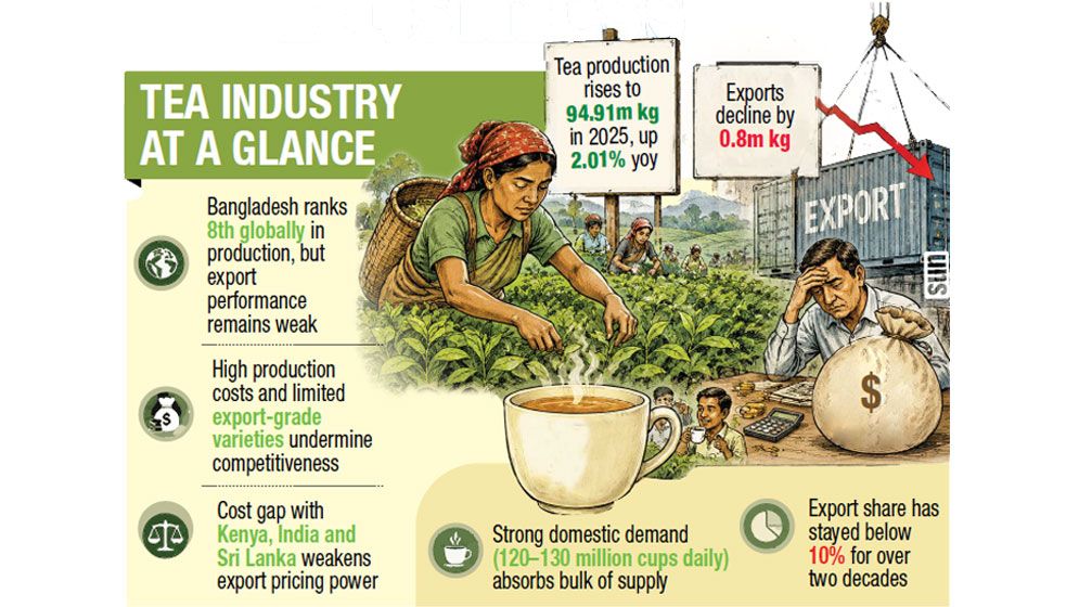 Tea production rises, but exports losing ground