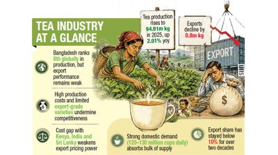 Tea production rises, but exports losing ground