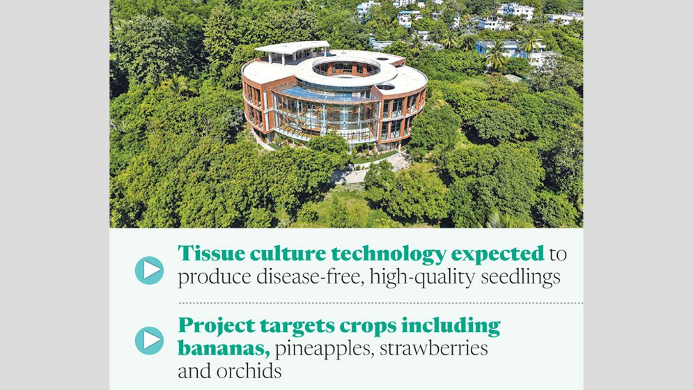 Modern tissue culture lab in Bandarban brings new hope