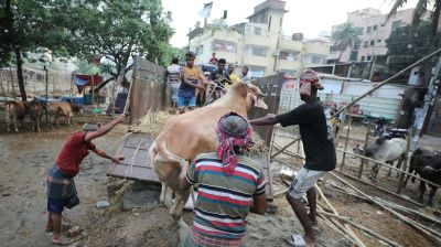 Cattle traders suffer huge losses amid low buyer turnout, poor offers