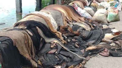 Seasonal rawhide traders, madrasahs suffer huge losses amid few buyers, poor rates