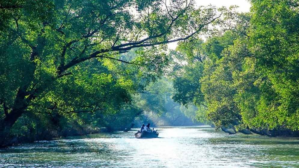 Tourists, fishermen banned as Sundarbans shut till August
