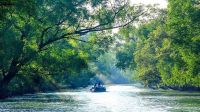 Tourists, fishermen banned as Sundarbans shut till August