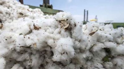 US cotton plan opens door to tariff benefits