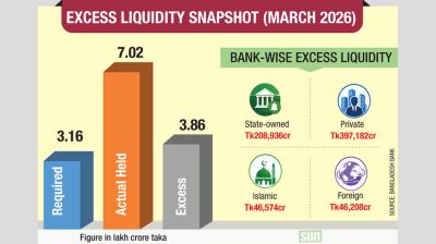Excess liquidity rises sharply as investment slows