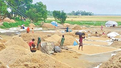 Food grain storage target set for 24.50 lakh tonnes