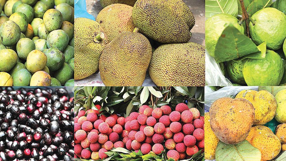 The fruitful summer of Bangladesh