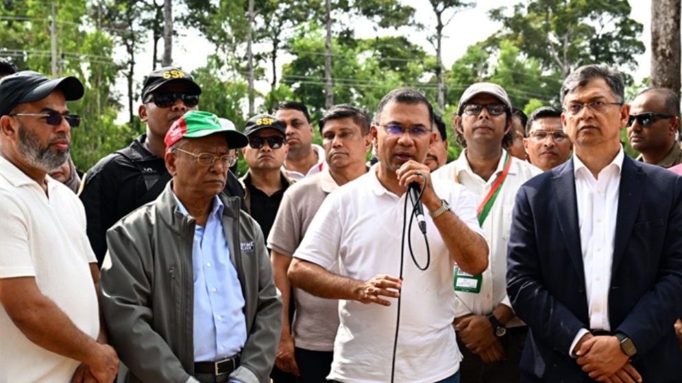 PM urges every citizen to plant trees to ensure clean environment