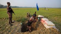 India pushing ethnic Bengali Muslims into Bangladesh unlawfully: HRW