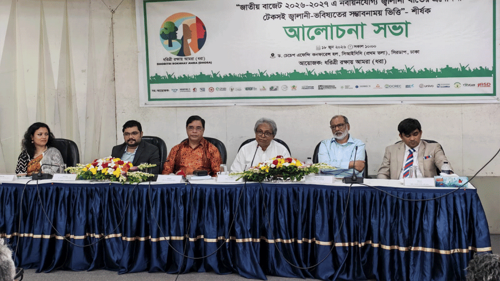 Experts stress clear roadmap for sustainable renewable energy future