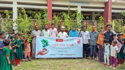 Shuvosangho plants trees, distributes saplings in Barguna