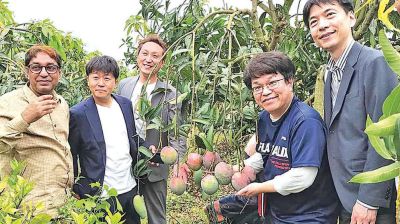 Can Bangladesh crack Japan’s mango market?