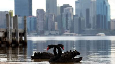 H5 bird flu detected in second Australia state