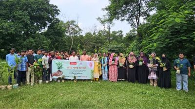 Bashundhara Tissue, Shuvosangho hold tree plantation drive at JU