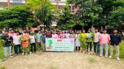 Tree plantation programme held at Titumir College