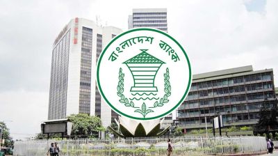 Central bank projects GDP growth to be lower than govt estimate