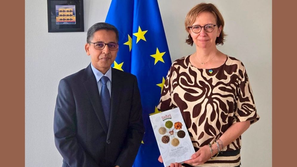 Pranay Verma discusses transport cooperation with European Commission official