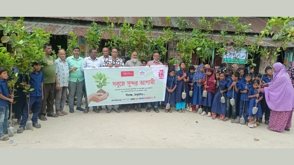 Tree plantation programme held in Thakurgaon