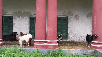 Rabindranath's heritage site experiences sheer neglect