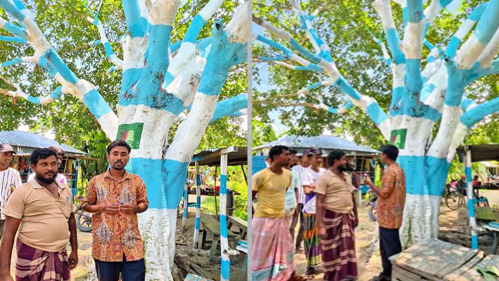 Argentina fan paints banyan tree in national flag colours
