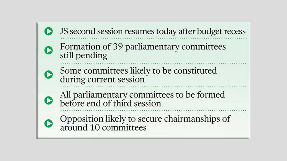Formation of JS committees high on agenda after budget passage