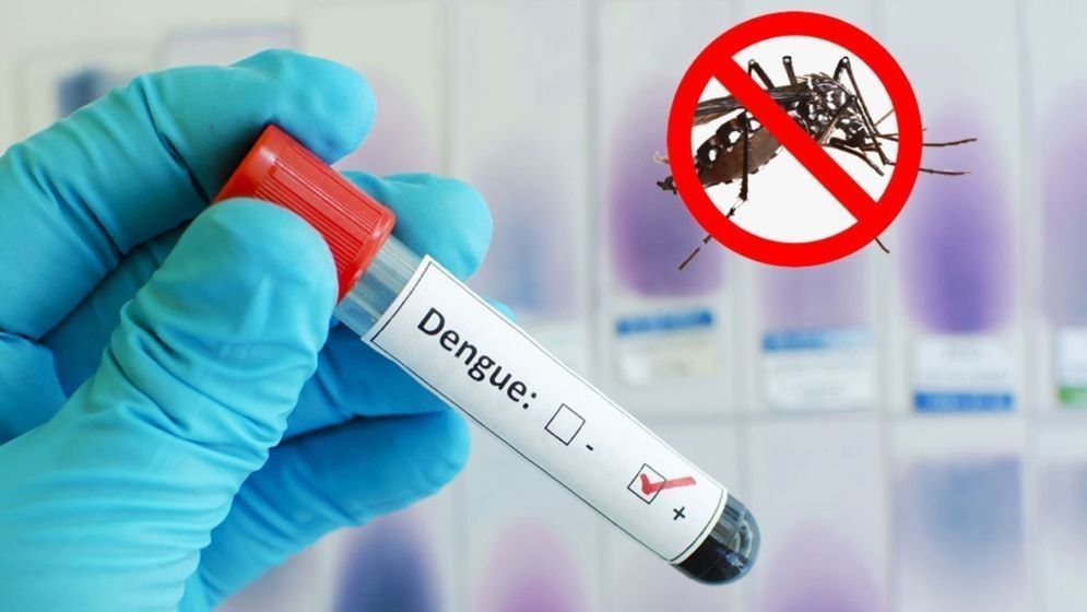 Govt hospitals ordered to provide free dengue tests until 31 Dec