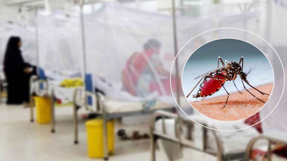 2 more die from dengue in 24 hours