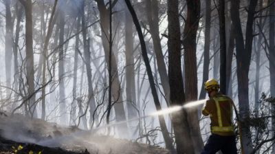 Spain wildfire death toll rises to 12