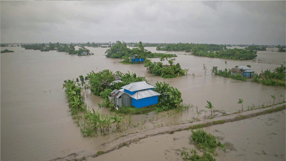 Govt to support flood-affected farmers: Minister