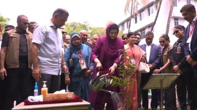 PM inaugurates tree plantation programme at DMC