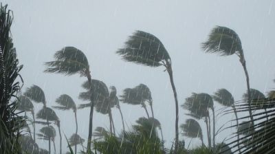 Rain, thunderstorms forecast for Dhaka, 15 other regions