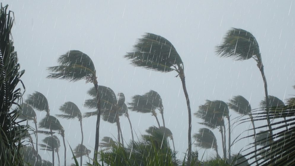 Rain, thunderstorms forecast for Dhaka, 15 other regions