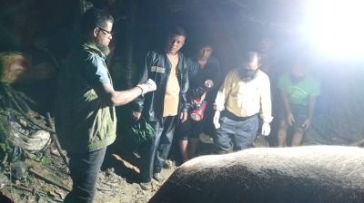 PM orders proper treatment of elephant injured in hill collapse