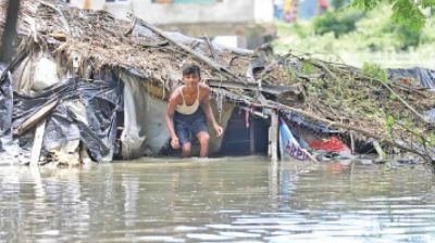 Floods inflict Tk399cr losses on fisheries, livestock as death toll climbs to 56