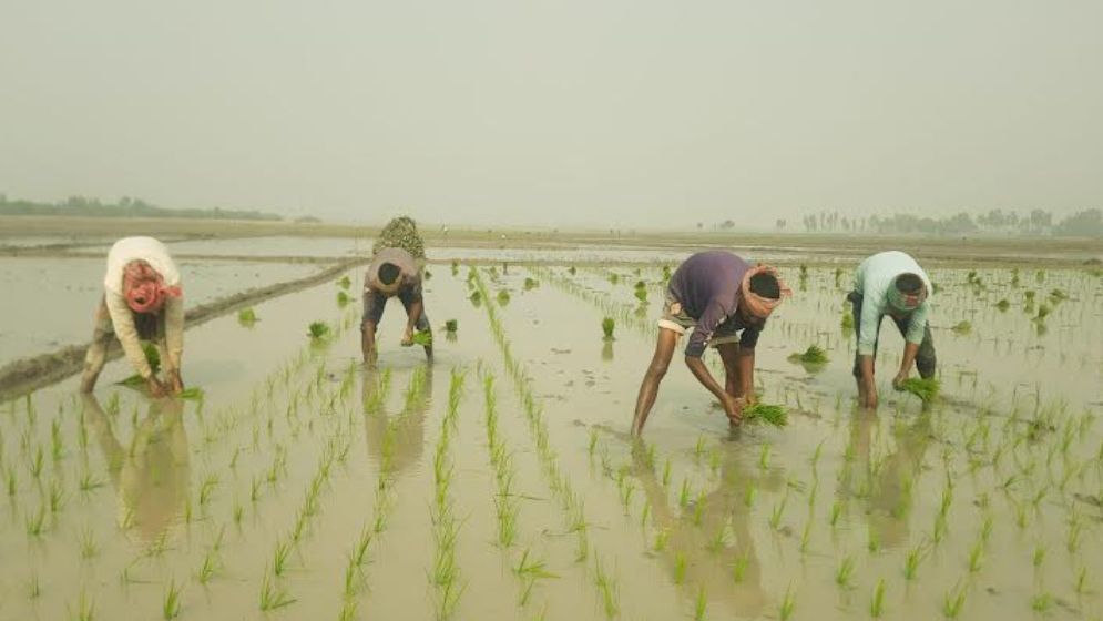 2.70cr farmers to be brought under Farmer Card programme within three years