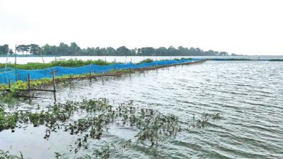 Renewed waterlogging hits Bhabadaha region after heavy downpour