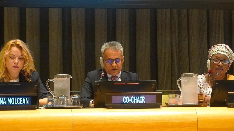 Dhaka calls for stronger institutions to save lives on roads