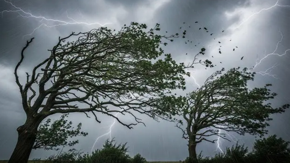 Storms, rain likely in 10 districts by noon