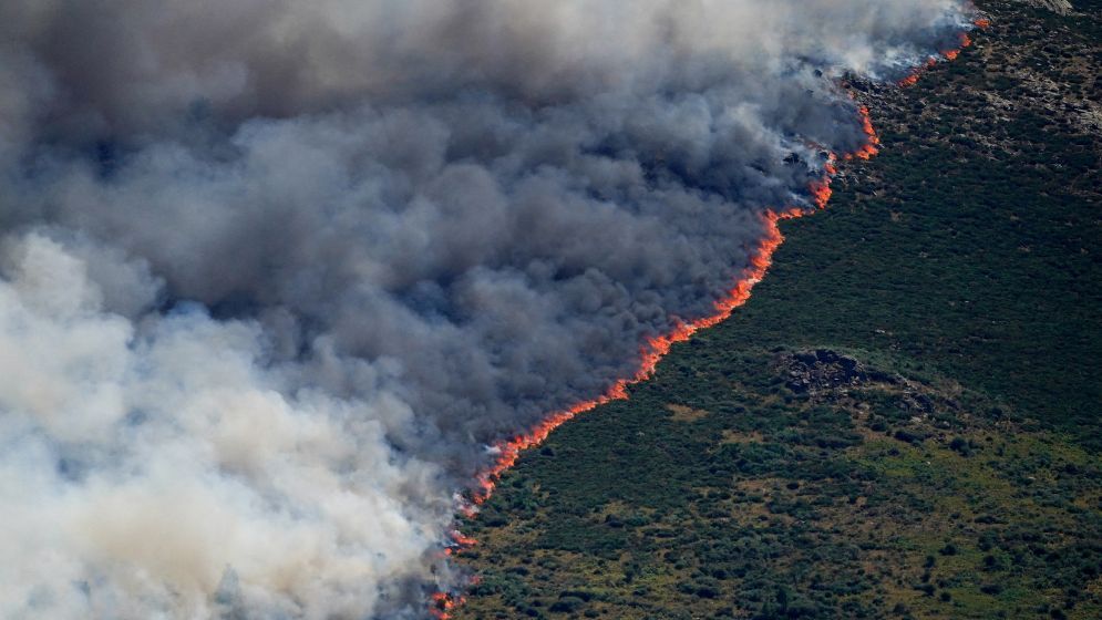 Spain declares national emergency in Madrid region over forest fires