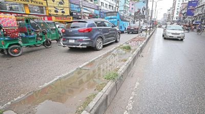 Dhaka’s road medians losing green cover to dev push